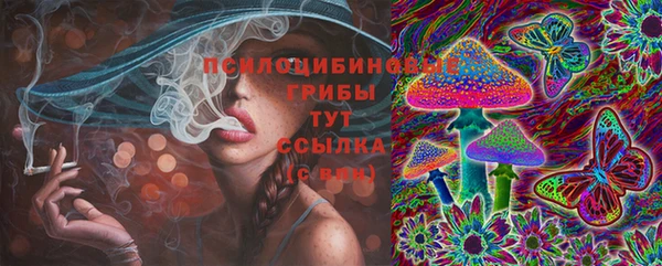 прущая мука Михайлов