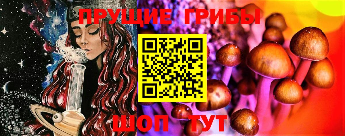 Псилоцибиновые грибы прущие грибы Павлово