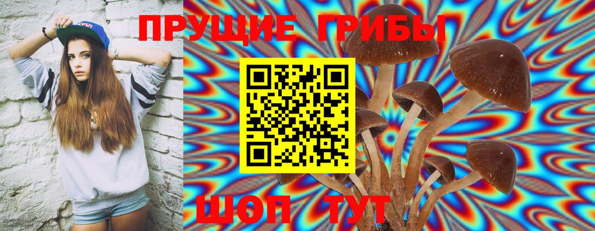 Галлюциногенные грибы Magic Shrooms  Вход с VPN  Павлово 