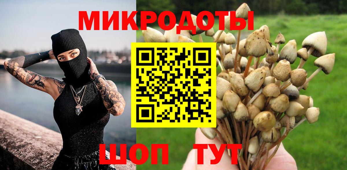 Псилоцибиновые грибы GOLDEN TEACHER  Галлюциногенные грибы Magic Shrooms  Павлово 