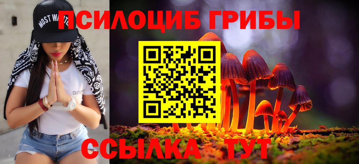 Галлюциногенные грибы прущие грибы Павлово
