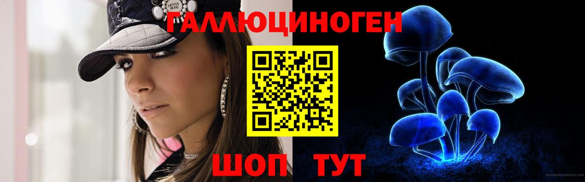 Галлюциногенные грибы MAGIC MUSHROOMS  Вход с VPN  Павлово 