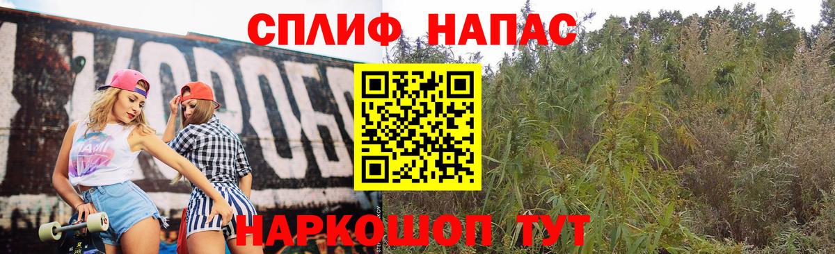 Бошки марихуана ГИДРОПОН  Павлово  Канабис марихуана 